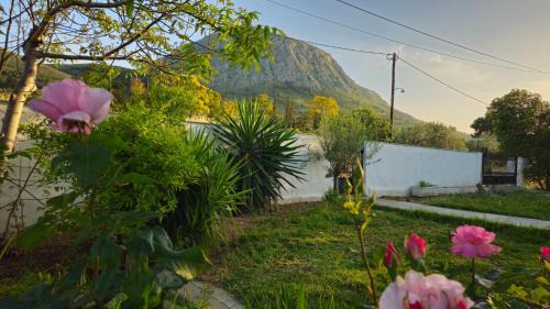 Korithion Villa | Grace and Harmony of Ancient Corinth