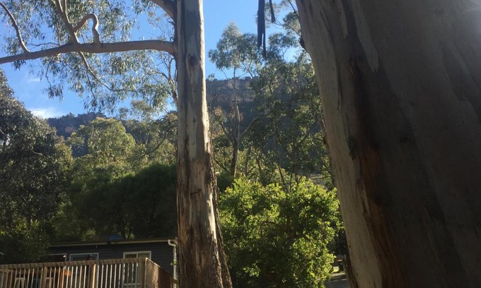 Halls Gap Cabin | Grampians Nest