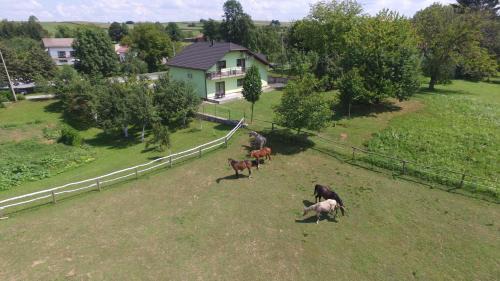 Irinovac Apartment | Green apartment Plitvice