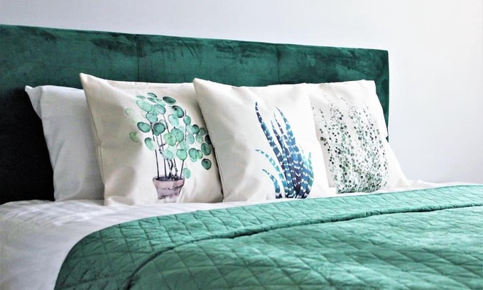 Anyksciai Apartment | Green bed by the pine forest