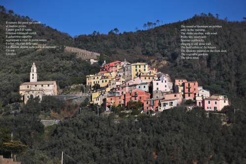 Lavaggiorosso Apartment | Green Gate to 5Terre