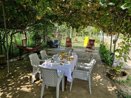 Salkhino House | Green Palms-მწვანე პალმები