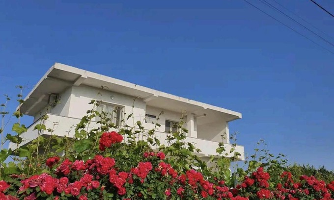Rade House | Green Villa