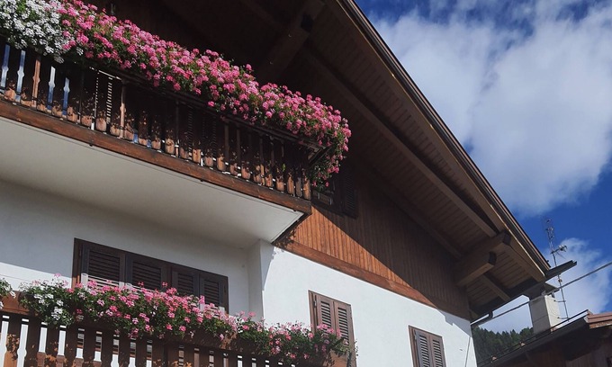 Valle di Cadore Apartment | Ground floor apartment