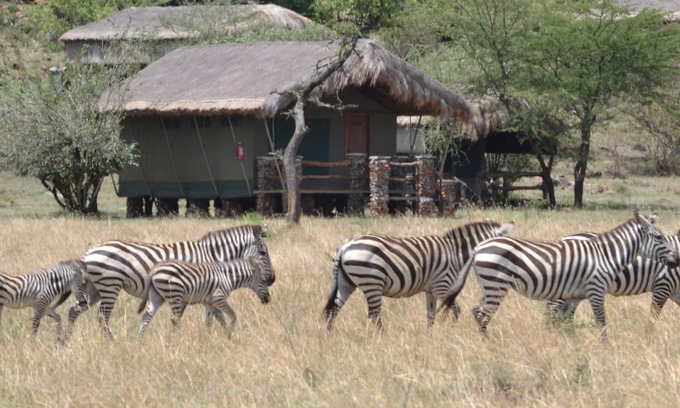 Serengeti National Park Other | Grumeti Migration Camp