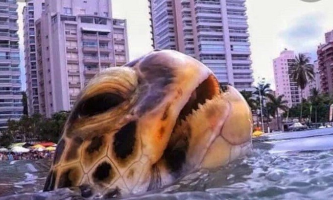 Vila Alzira Apartment | Guarujá Praia de Asturias charming apartment