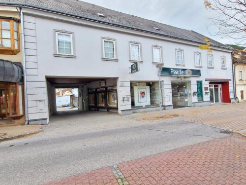 Gloggnitz Apartment | Gudzevic - FU A 2