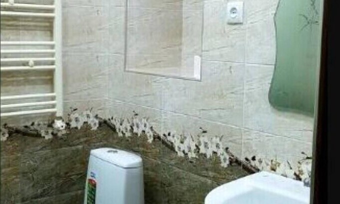 Gyumri House | Guest House A.S.T Gyumri