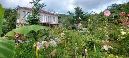 Tsqaltubo House | Guest House David