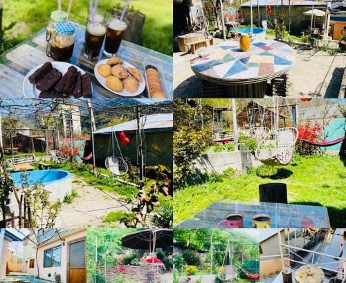Borjomi Bed & Breakfast | Guest House Khatuna