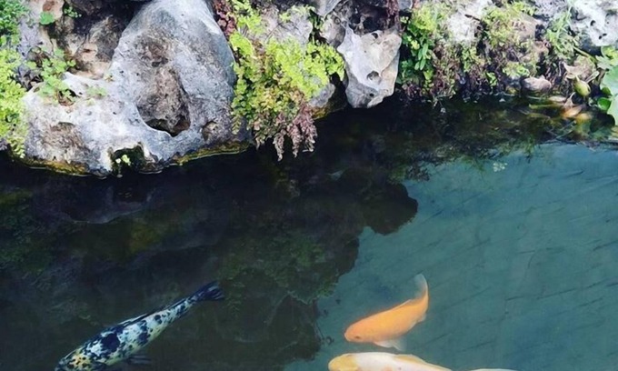 Igreja Nova House | Guesthouse A Lareira