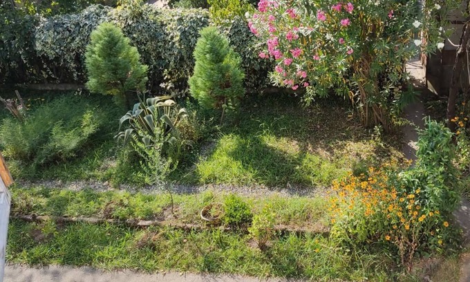 Zugdidi House | Guesthouse With a Cozy Garden