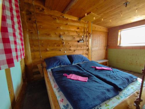 Fahrni House | Hängebett im Stall