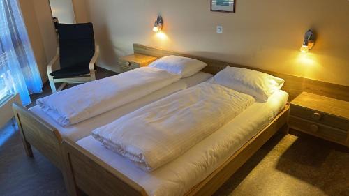 Vouvry Hotel | Hôtel EDIROL