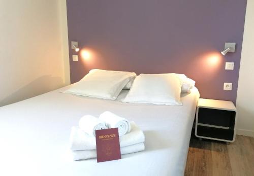 Sauvagnon Hotel | Hôtel Némo Aéroport de Pau - KB HOTEL GROUP