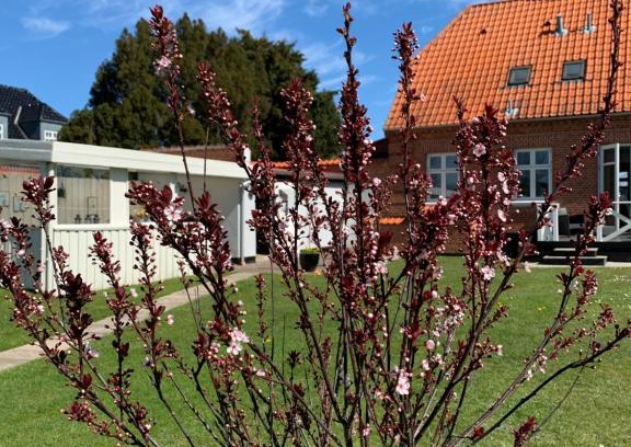 Naesby Apartment | H. C. Lumbyes Vej - kælderlejlighed