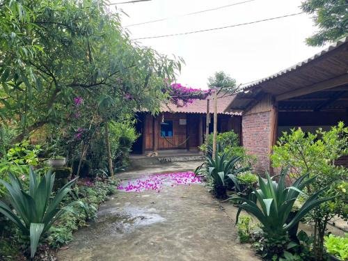 Phong Tho Cabin | H'Mông Hoa Homestay
