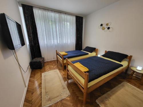 Mali Radic Apartment | HaDi Home