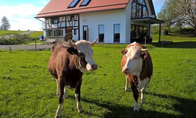 Arnach Apartment | Half-timbered house in the Allgäu with mountain views in a secluded location, gr. Garden & Sauna, Lake Constance