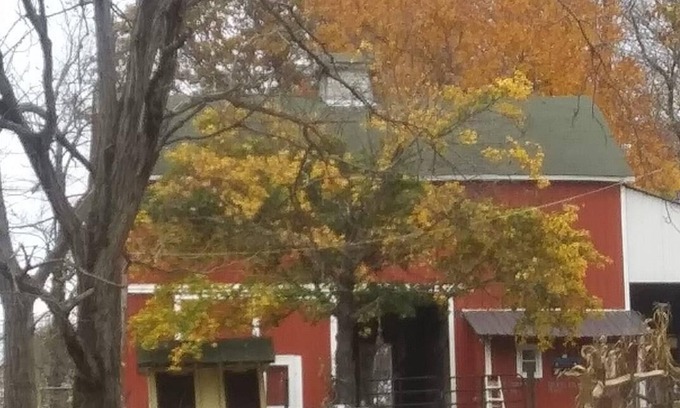 Natrona Bed & Breakfast | Half whit farm & BBn10 miles from the US open in Oakmont Pa