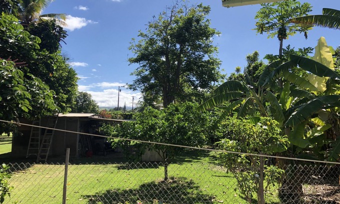 Haleiwa Apartment | Haliewa Surf Pad Blocks From the Beach