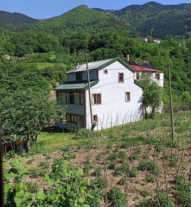 Macka Villa | Hamsiköy Vadi Konaklama
