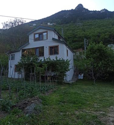 Macka Apartment | Hamsiköy Vadi konaklama