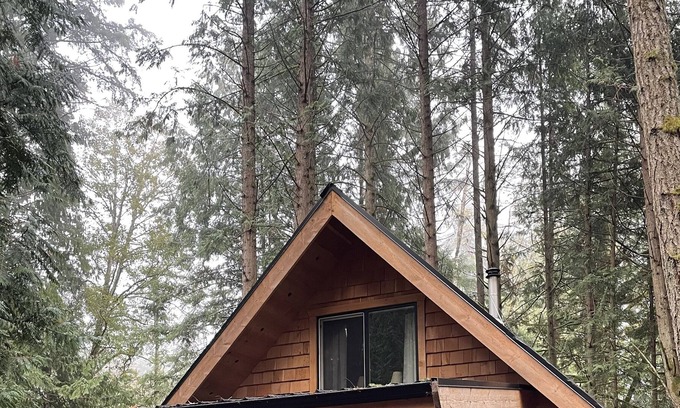 Regional District of Nanaimo Cabin | Hand built, pet friendly & nestled in the woods.