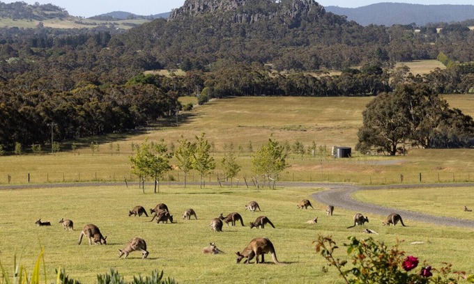 Woodend Apartment | Hanging Rock Views, King Suite in luxury B&B