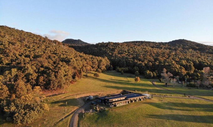 Woodend Apartment | Hanging Rock Views, Queen Suite in classic bush setting