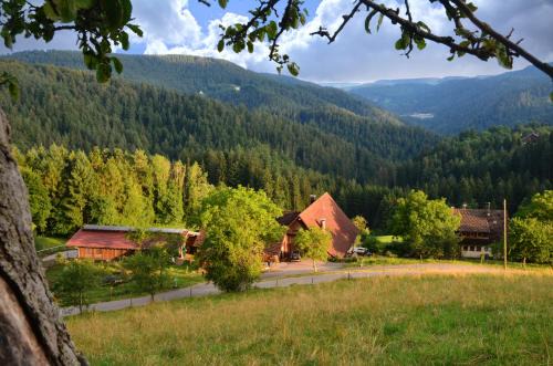 Schiltach Apartment | Hansjörgenhof Bioland-Hof