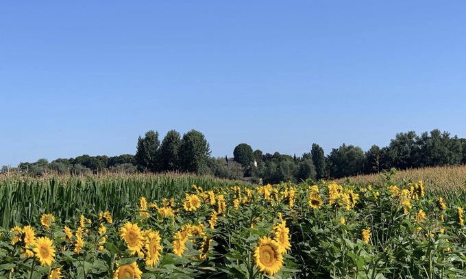 Gironde-sur-Dropt House | Happiness in the countryside!