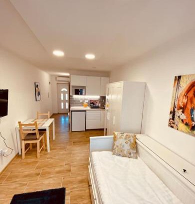 Szeged Apartment | Harmony and Peace central Szeged