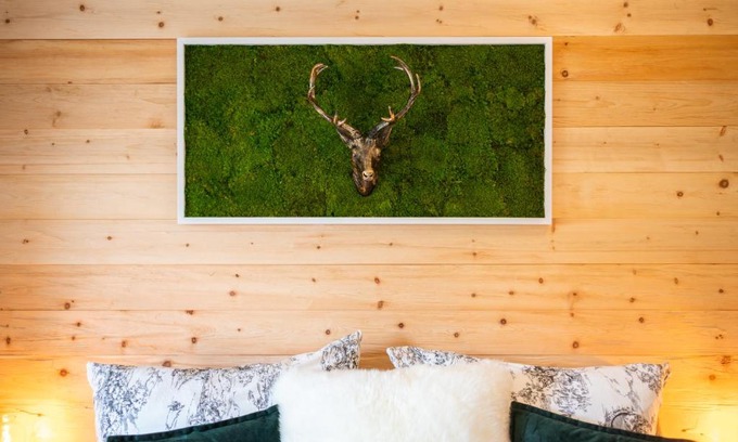 Prossen House | Haus am Wald