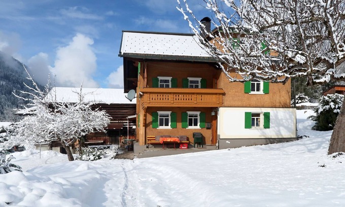 Sankt Gallenkirch House | Haus Hermann by Interhome