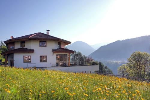 Telfes im Stubai Apartment | Haus Nikola