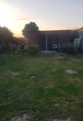 Bugewitz House | Haus zur Sonnenblume