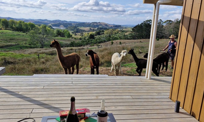 Kaiwaka Cabin | Havenridge Alpaca Glamping Cabins