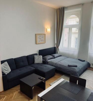 Nove Mesto Apartment | Heart of Prague apartment