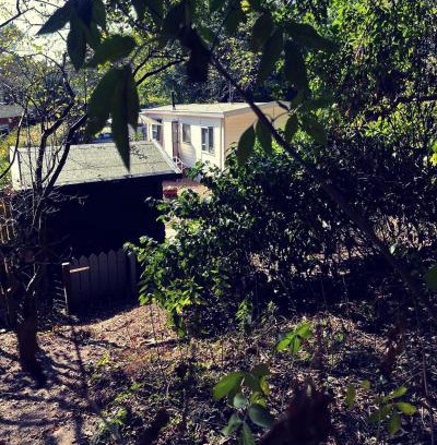 Nunspeet House | Heerlijk bos chalet met ongekende rust en vrijheid