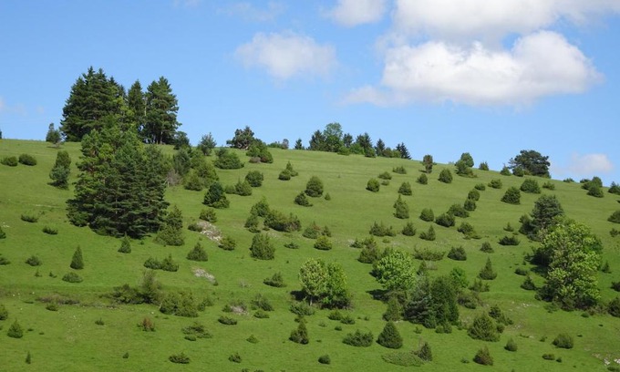 Gomadingen House | Heid-Blick