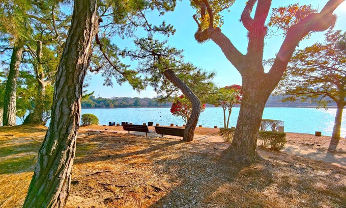 Chuo-ku Hotel | Heiwadai Hotel Otemon