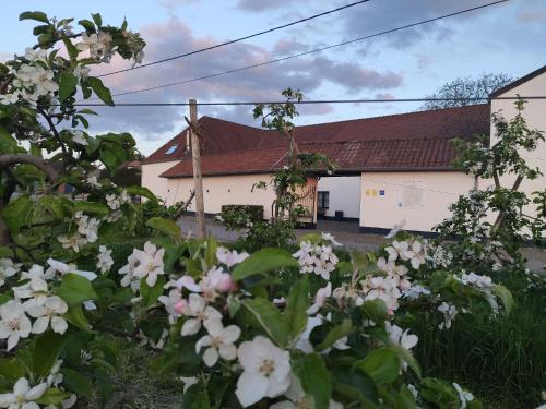 Alken Bed & Breakfast | Het Hemelsveld