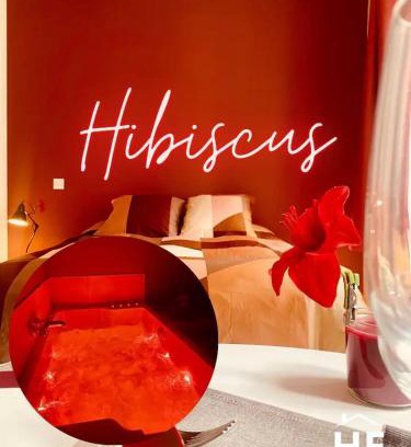 Montargis Apartment | Hibiscus - Balnéo - Netflix & Chill