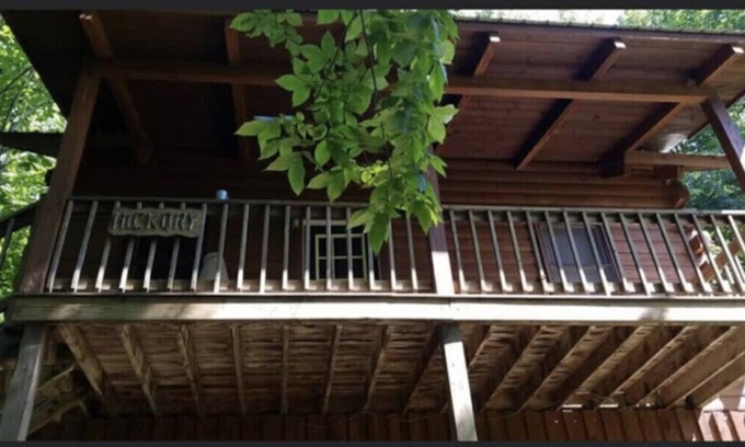 Slaty Fork Cabin | Hickory Cabin at Snowshoe! *Private Hot tub*