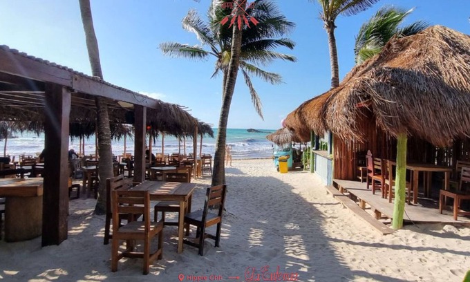 Zona Hotelera Hotel | Hippie Chit Jungle Hotel
