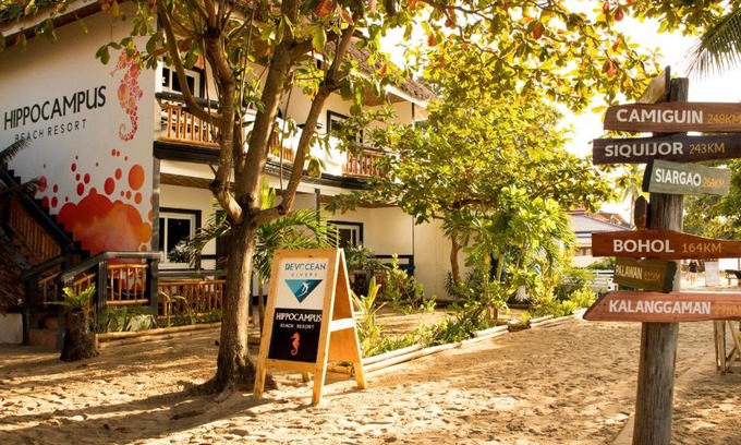 Daanbantayan Resort | Hippocampus Beach Resort