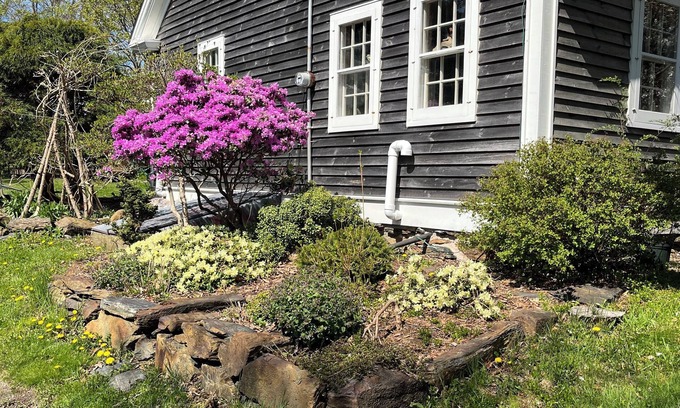 Lunenburg County Other | Historic 1785 Cape on 46 Forest Acres/Water View/Pet Friendly
