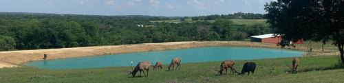 Springtown Villa | Hitching Post