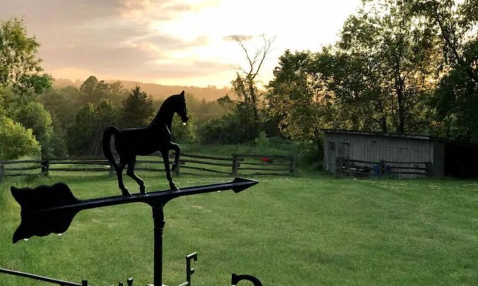 Adjala-Tosorontio House | Hockley Hideaway Farm Stay!n